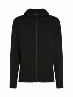 mmtsklep Polary I Bluzy-Bluza Icebreaker Merino 360 RealFleece™ Elemental LS Zip Hoodie Men