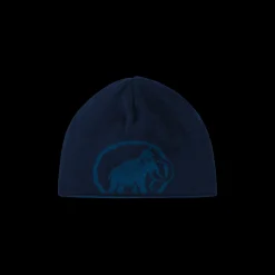 mmtsklep Czapki Zimowe I Opaski|Czapki Zimowe I Opaski-Czapka Mammut Logo Beanie
