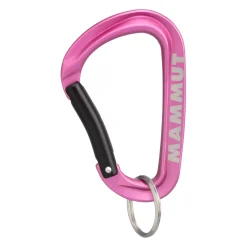 mmtsklep Akcesoria-Karabinek Mammut Mini Carabiner Workhorse Keylock L