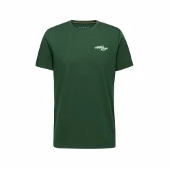 mmtsklep Koszulki I Koszule-Koszulka Mammut Core T-Shirt Men Never Rest