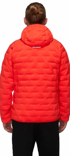 mmtsklep Kurtki I Kamizelki-Kurtka syntetyczna Mammut Sender IN Hooded Jacket Men